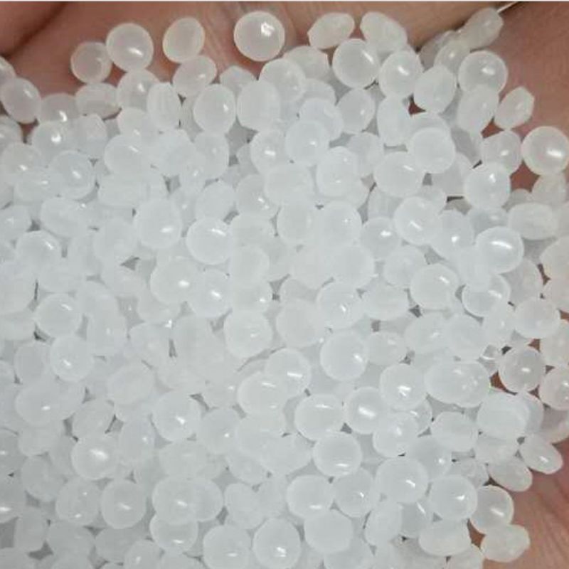 生分解性プラスチックの種類は何か